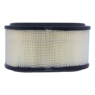 Polaris Air Filter 1253118