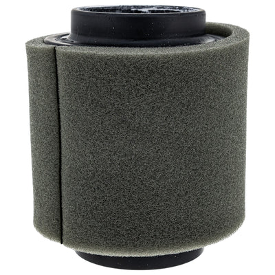 Polaris Air Filter 1253355