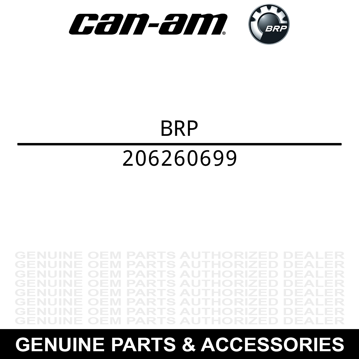 Can-Am 206260699 Front Suspension Socket Screw MXZ DS450 450 MX X XC