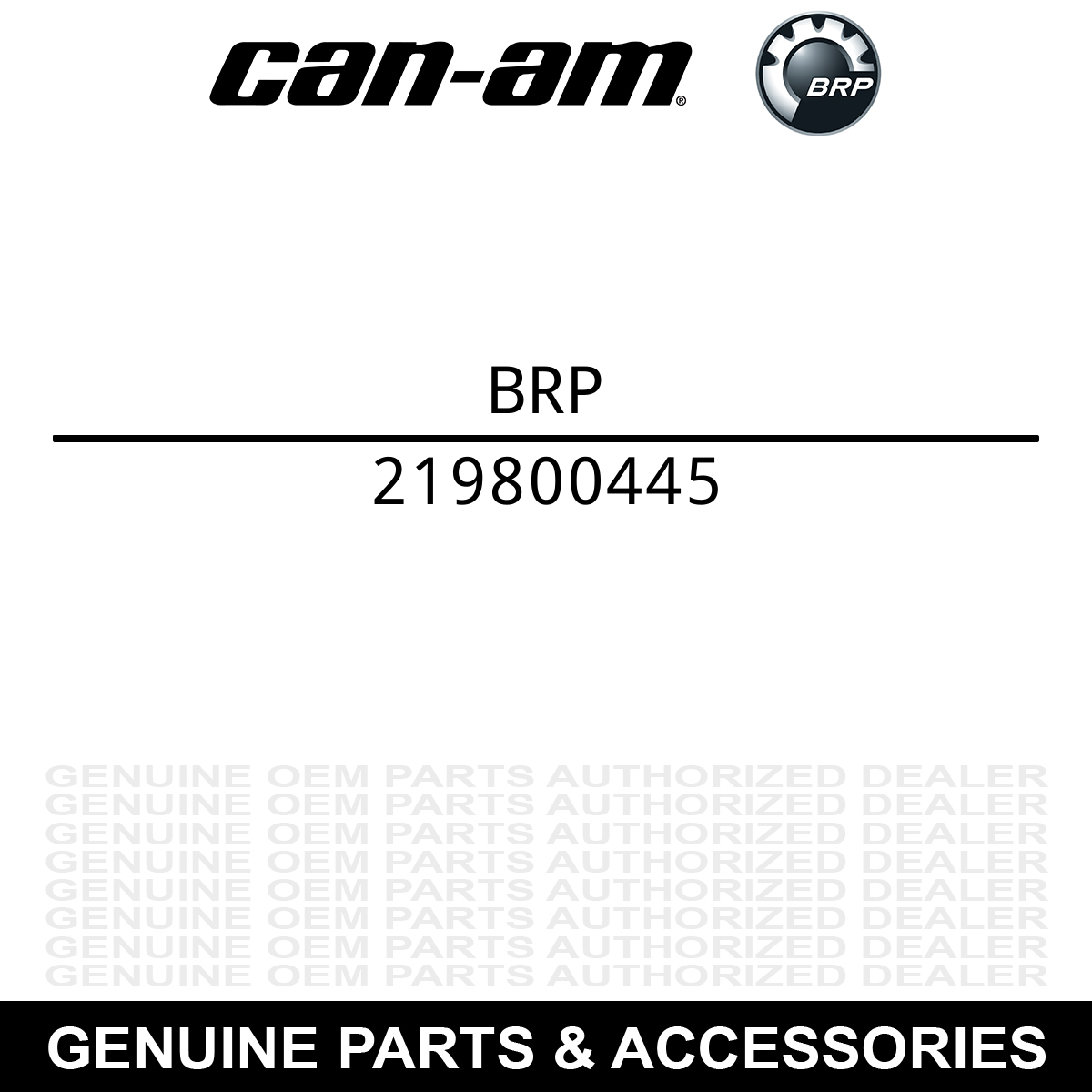 Can-Am 219800445 Brake Pads