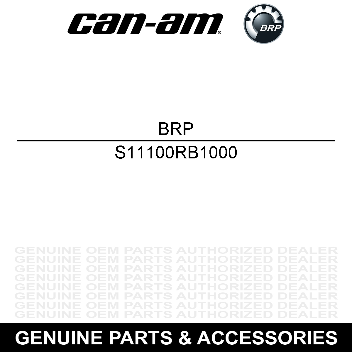 BRP S11100RB1000 Crankcase DS 250 2006-2024