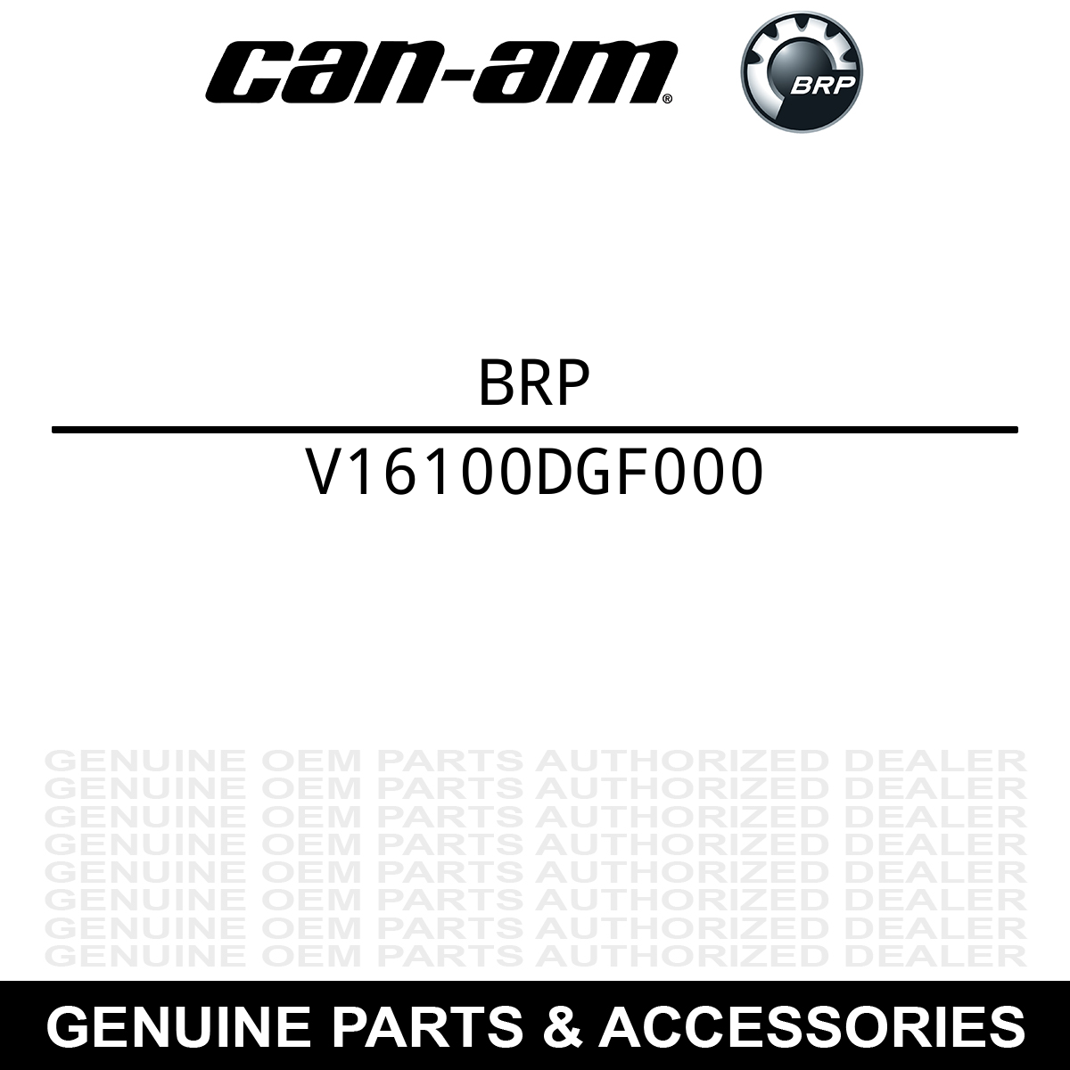 BRP V16100DGF000 Carburetor