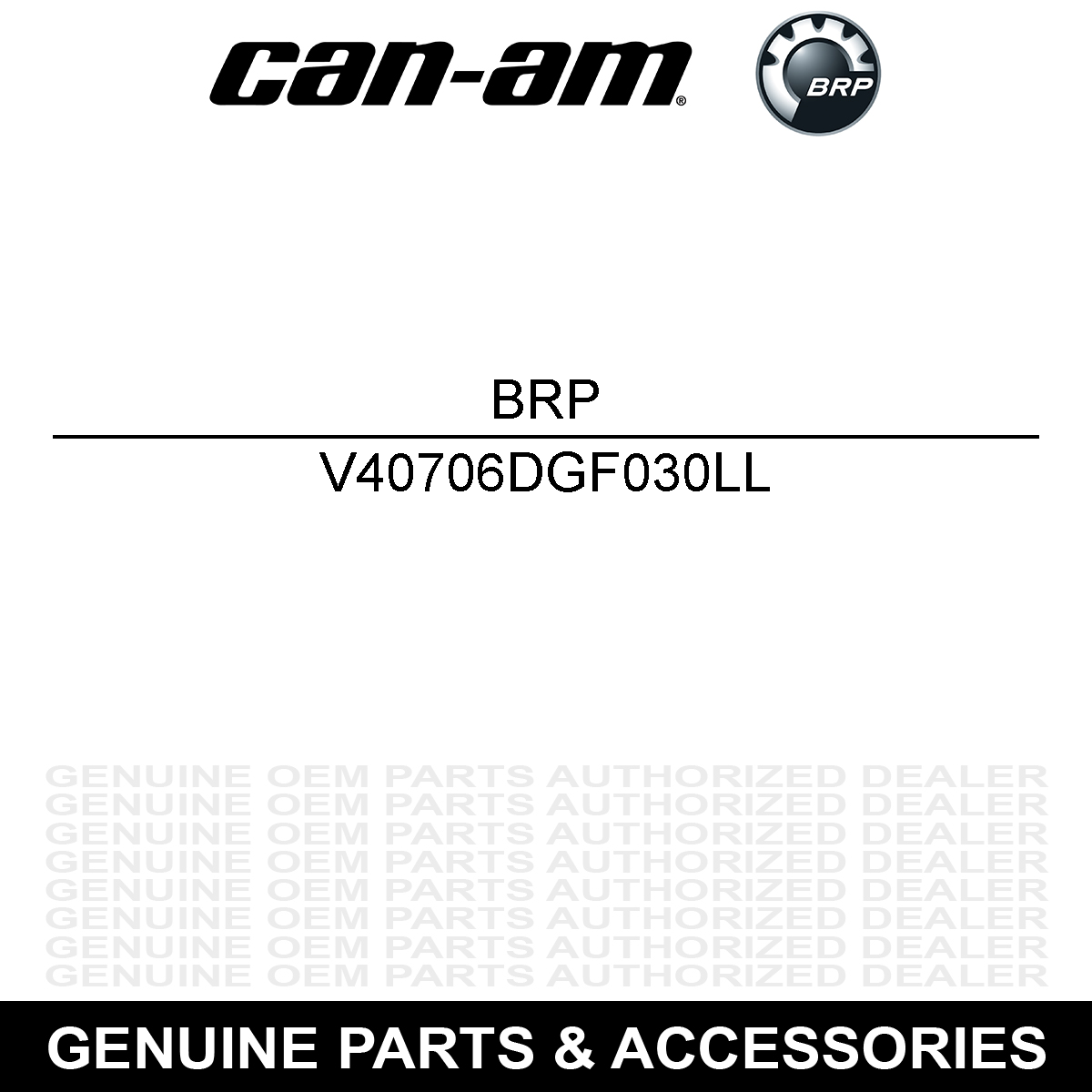 BRP V40706DGF030LL Rim DS 90 V40706DGF000 V40706DGF010LL 2008-2018