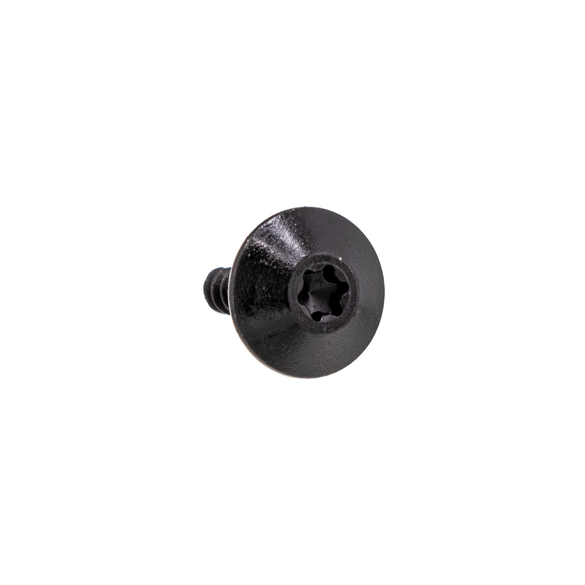 BRP Screw M4 x 16 250000889