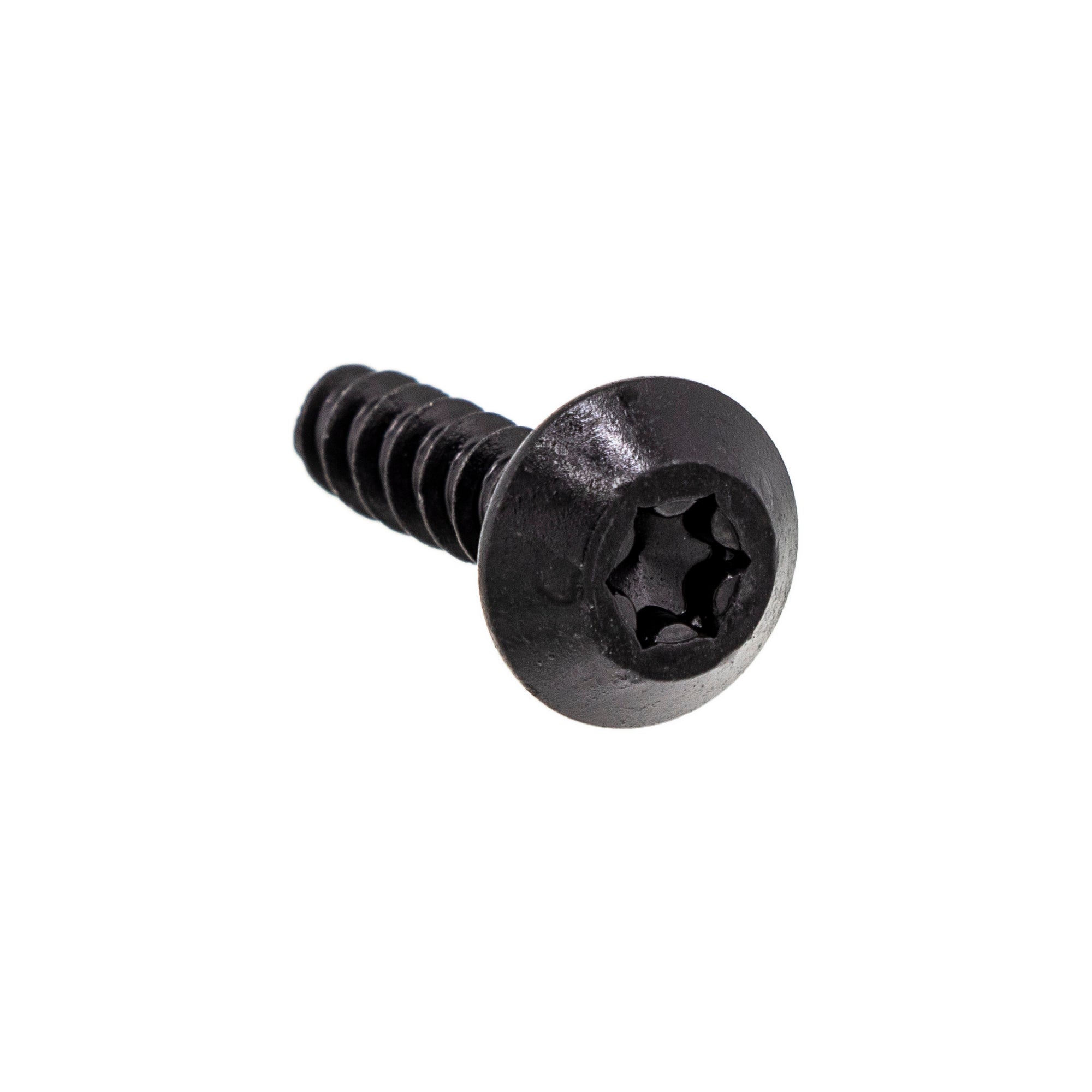 BRP Hex Screw Pt K60 x 25 250000980