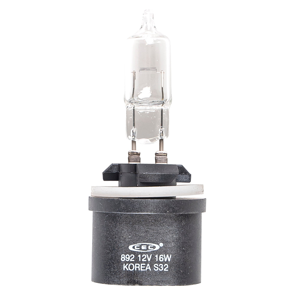 BRP 415128619 Light Bulb Mini 120 Z