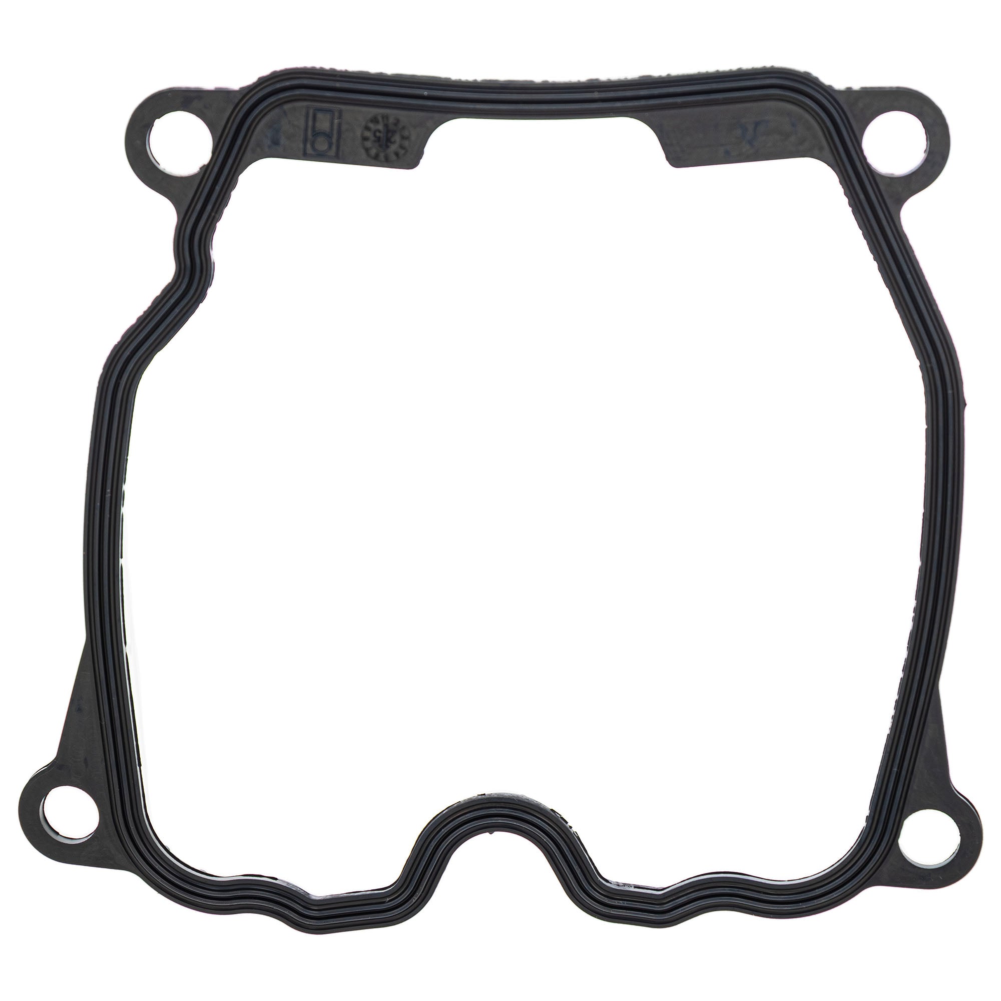 BRP 420630265 Gasket