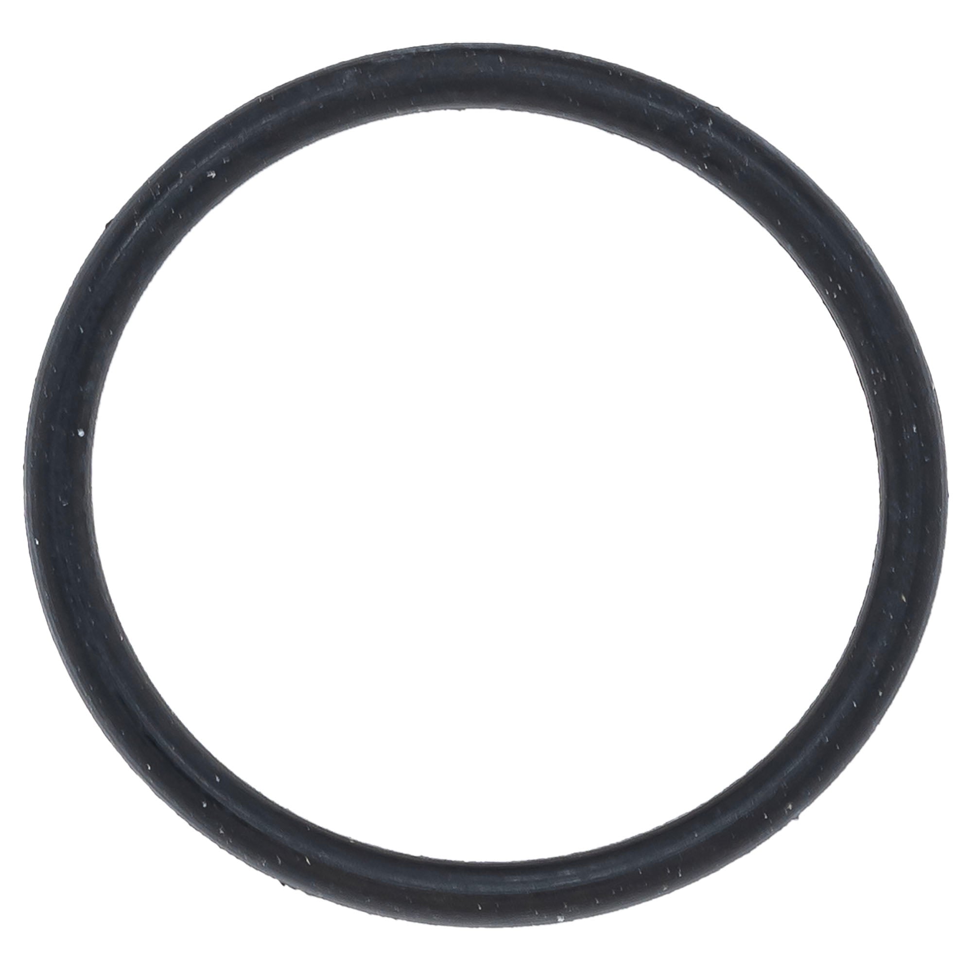 Polaris Carburetor O-Ring 0451028