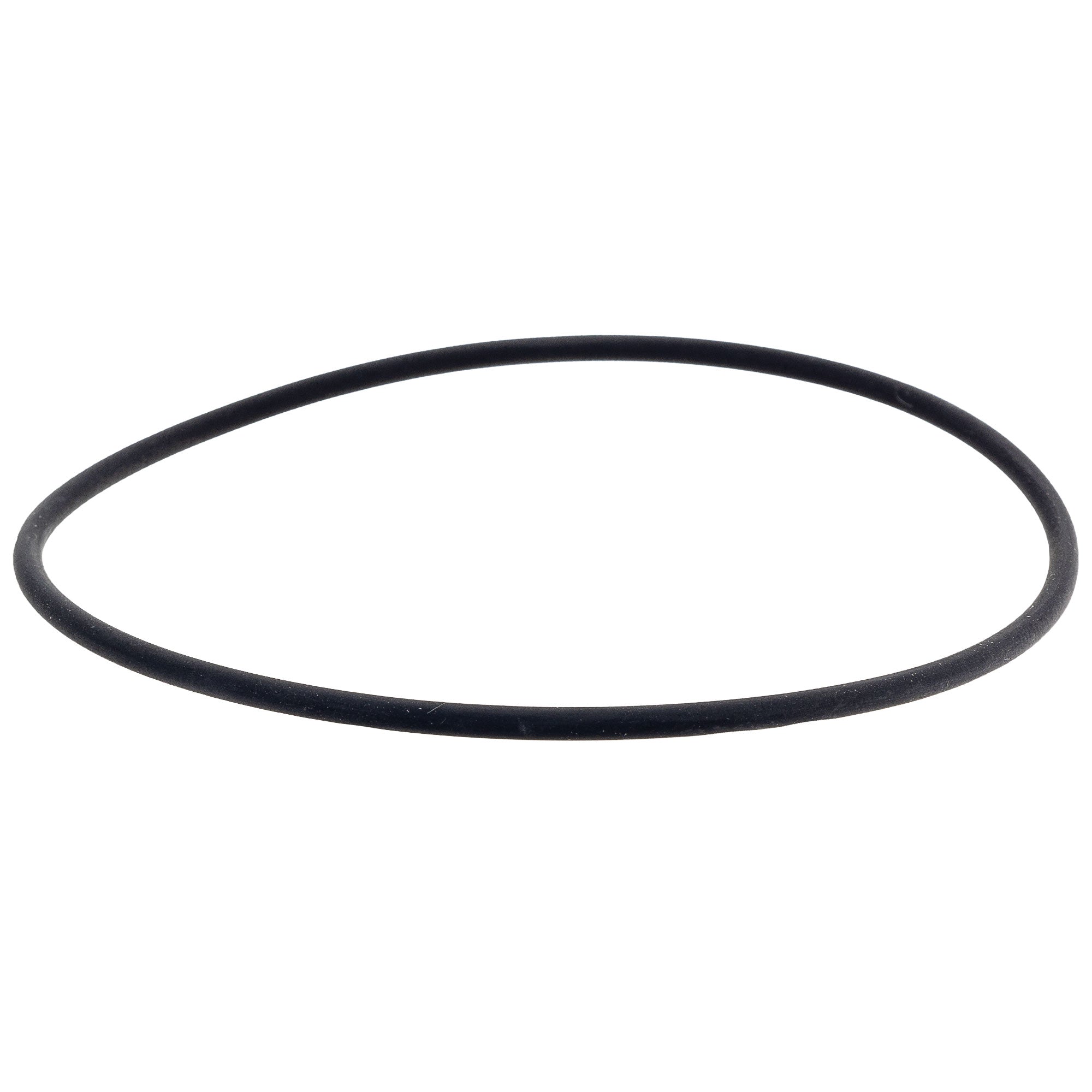 Polaris Water Pump O-Ring 0451875