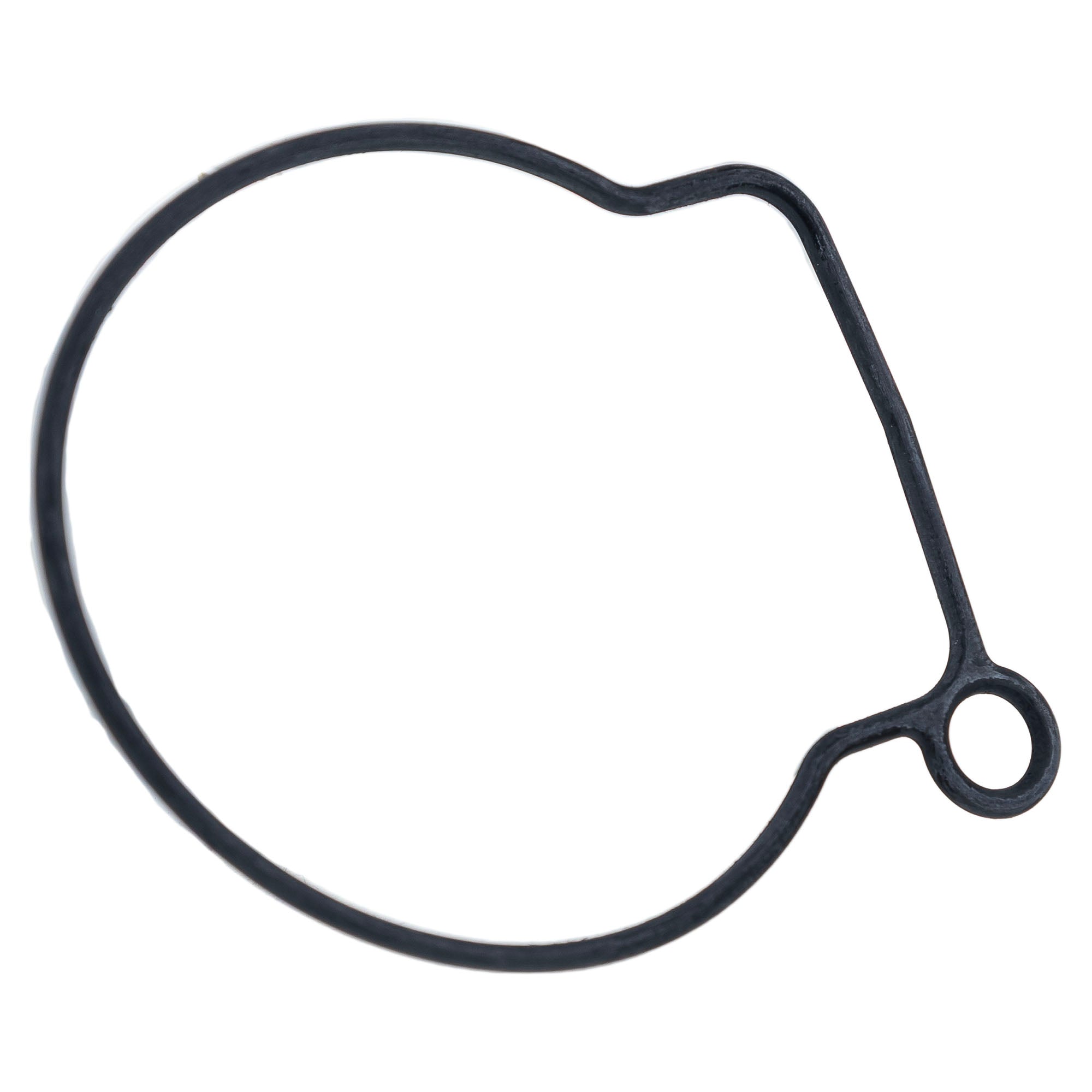 Genuine OEM Polaris Float Gasket Predator Outlaw 0453959