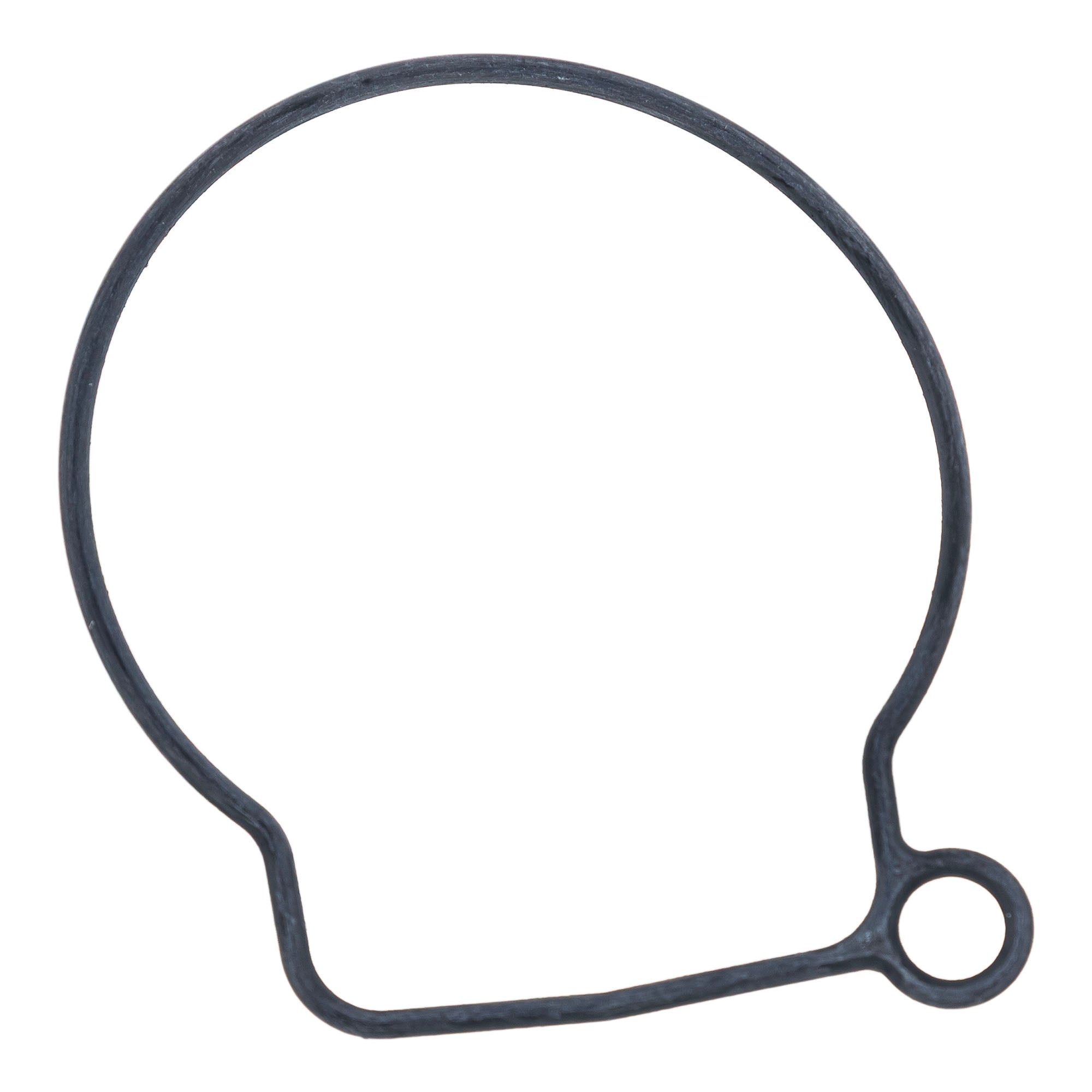 Polaris Carburetor Float Gasket 0453959
