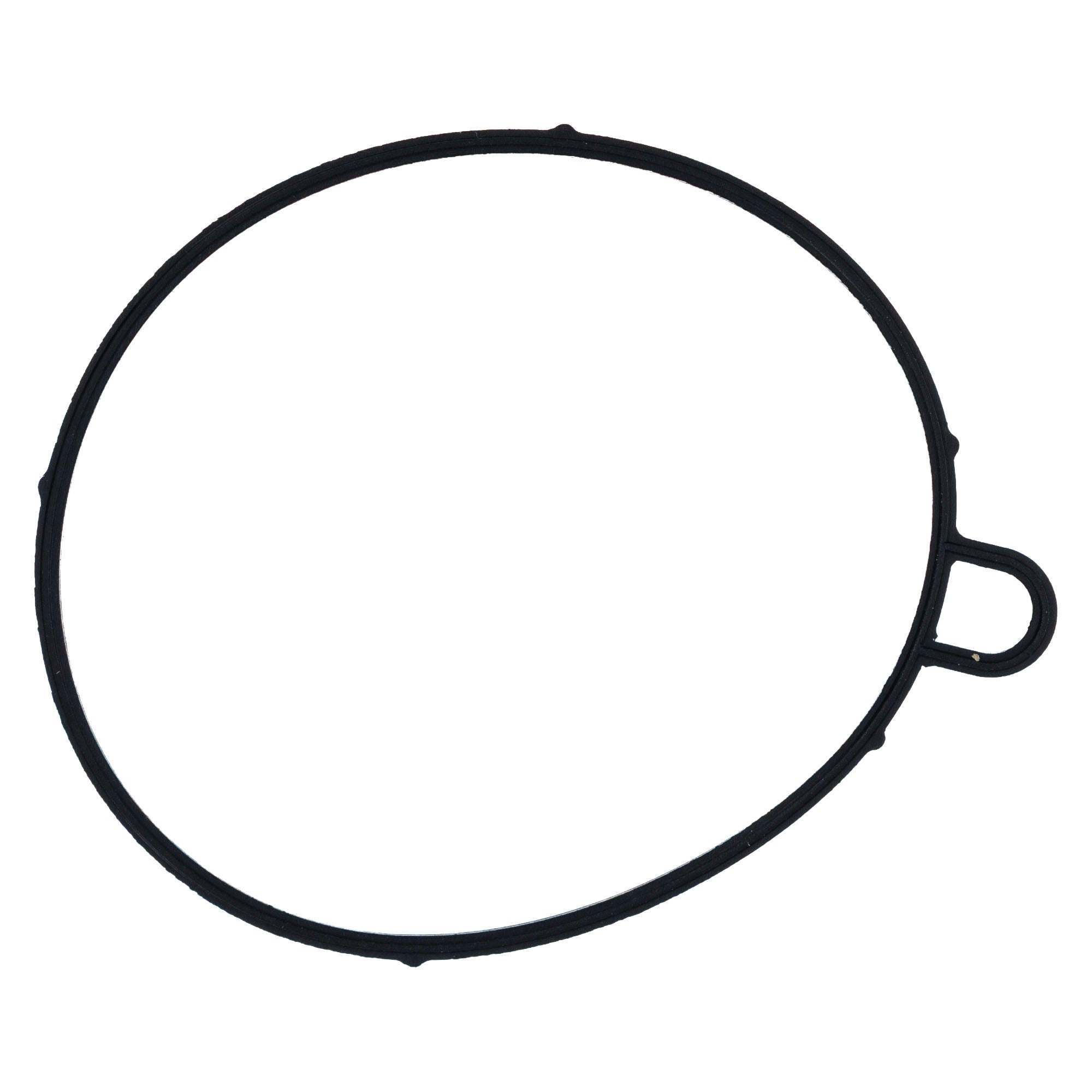 Genuine OEM Polaris Seal Sportsman Outlaw 0454200