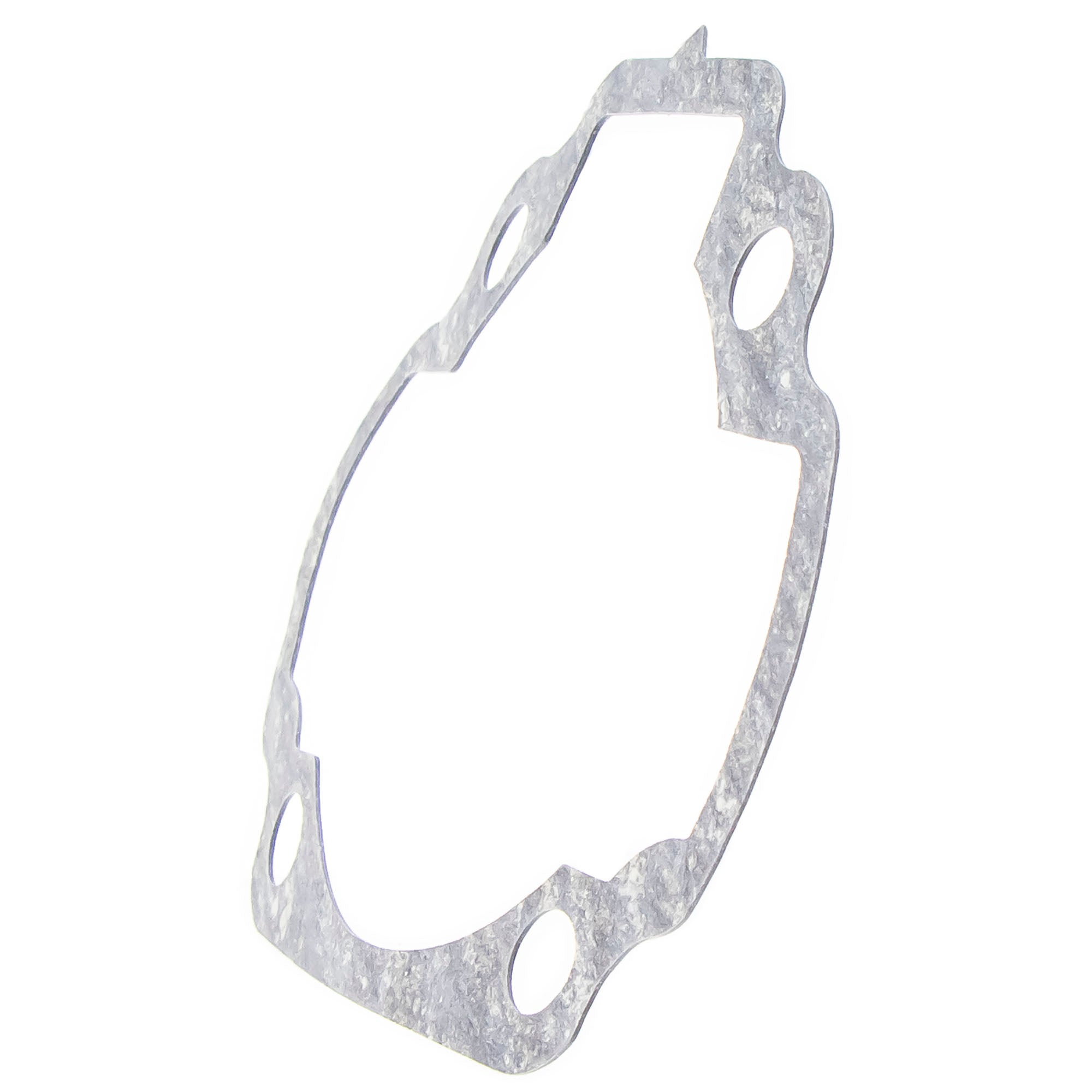 Polaris Cylinder Gasket 0455372