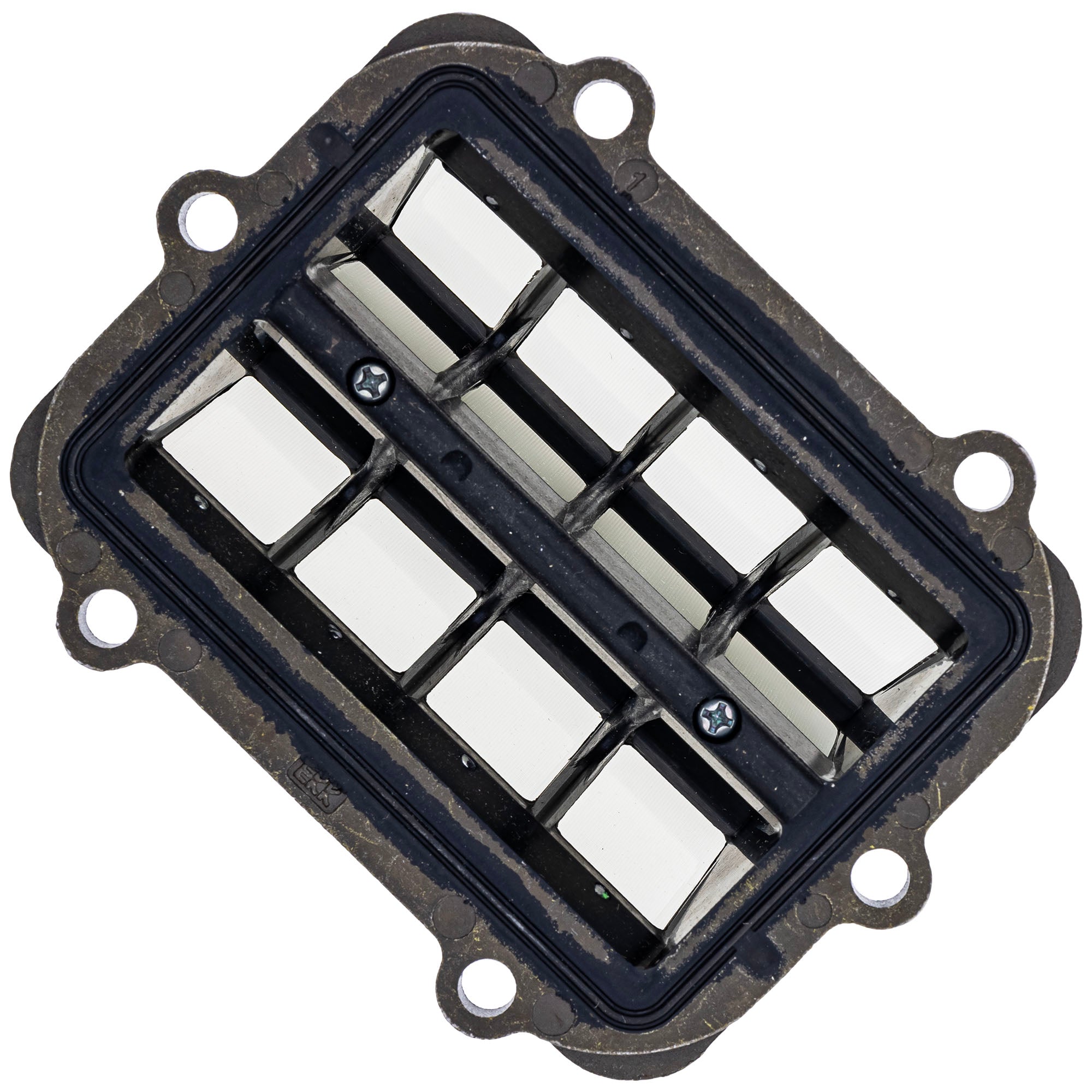 Polaris Reed Valve Assembly 1202698