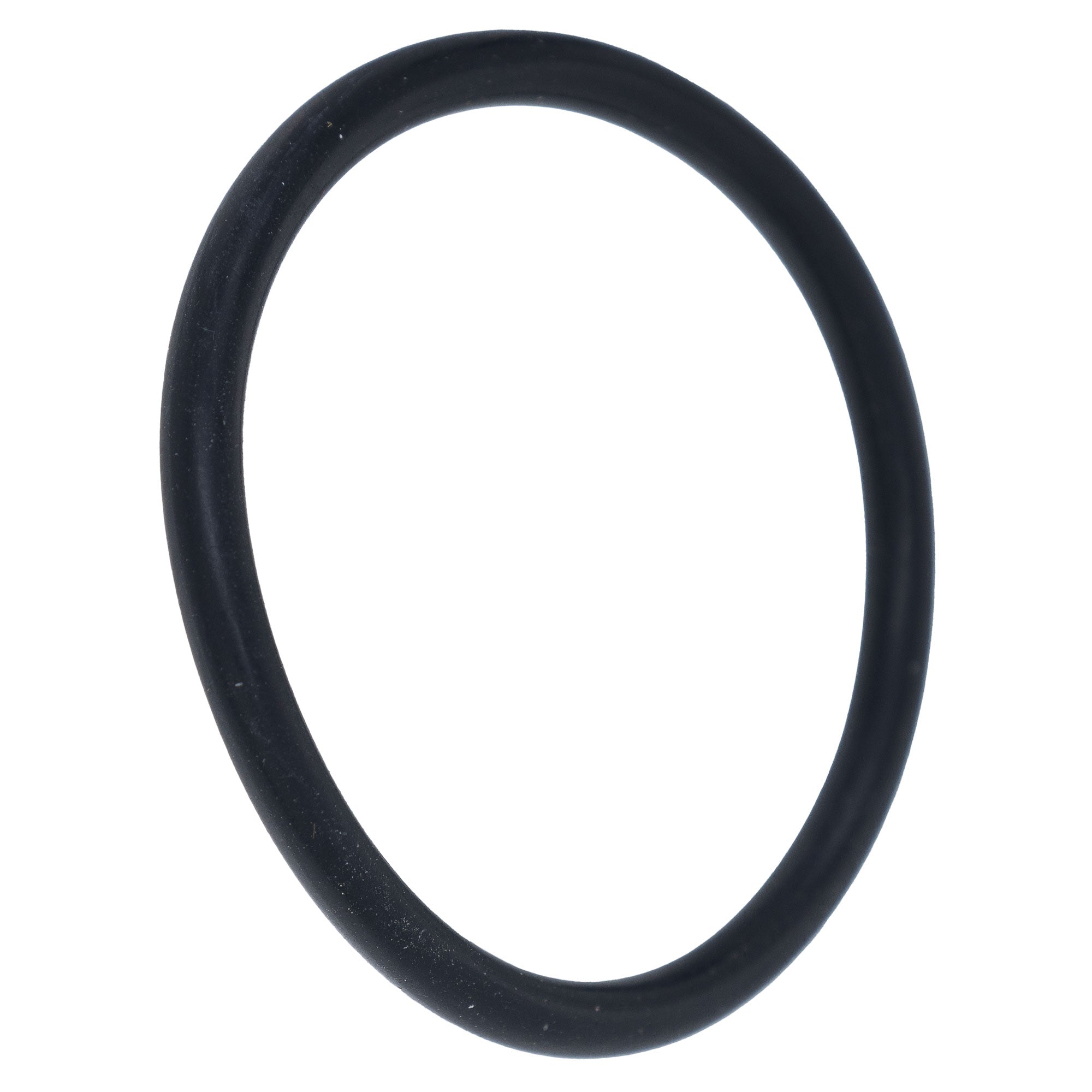 Polaris 1800030 O-RING BODY OEM
