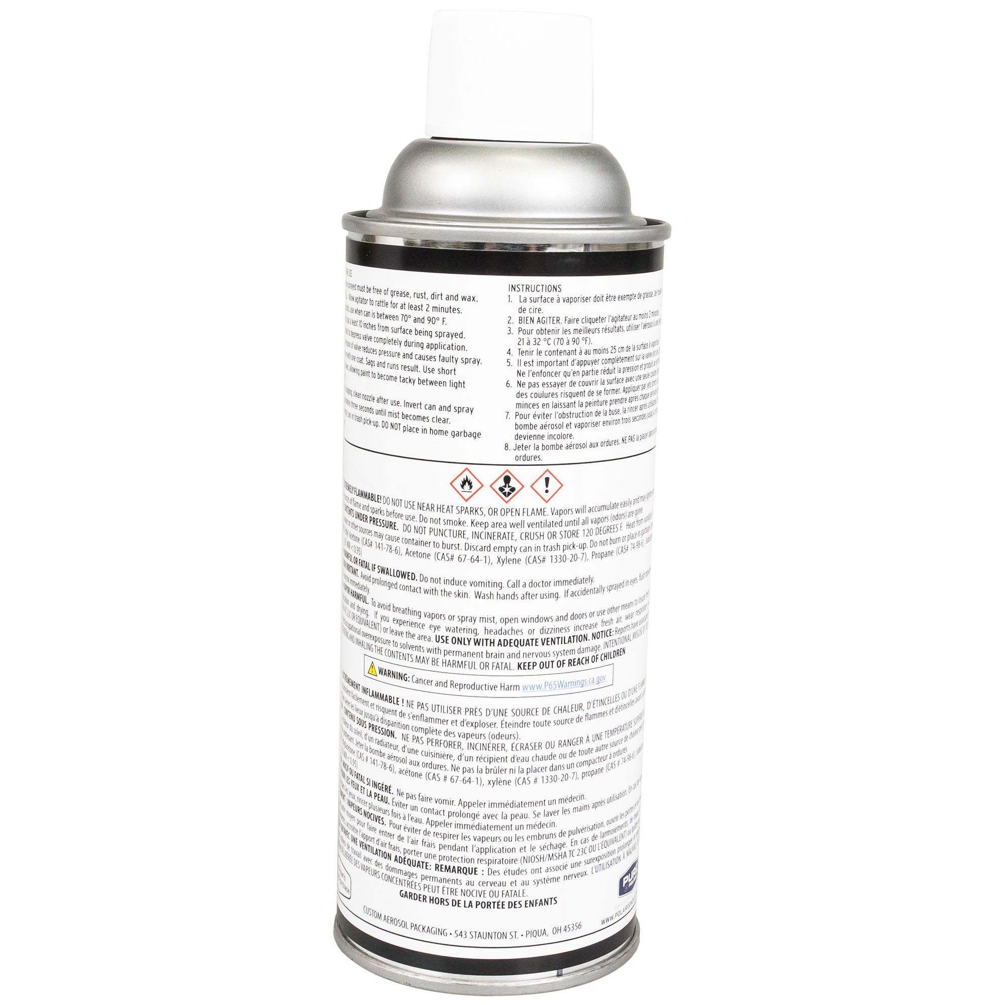 Genuine OEM Polaris Spray Paint