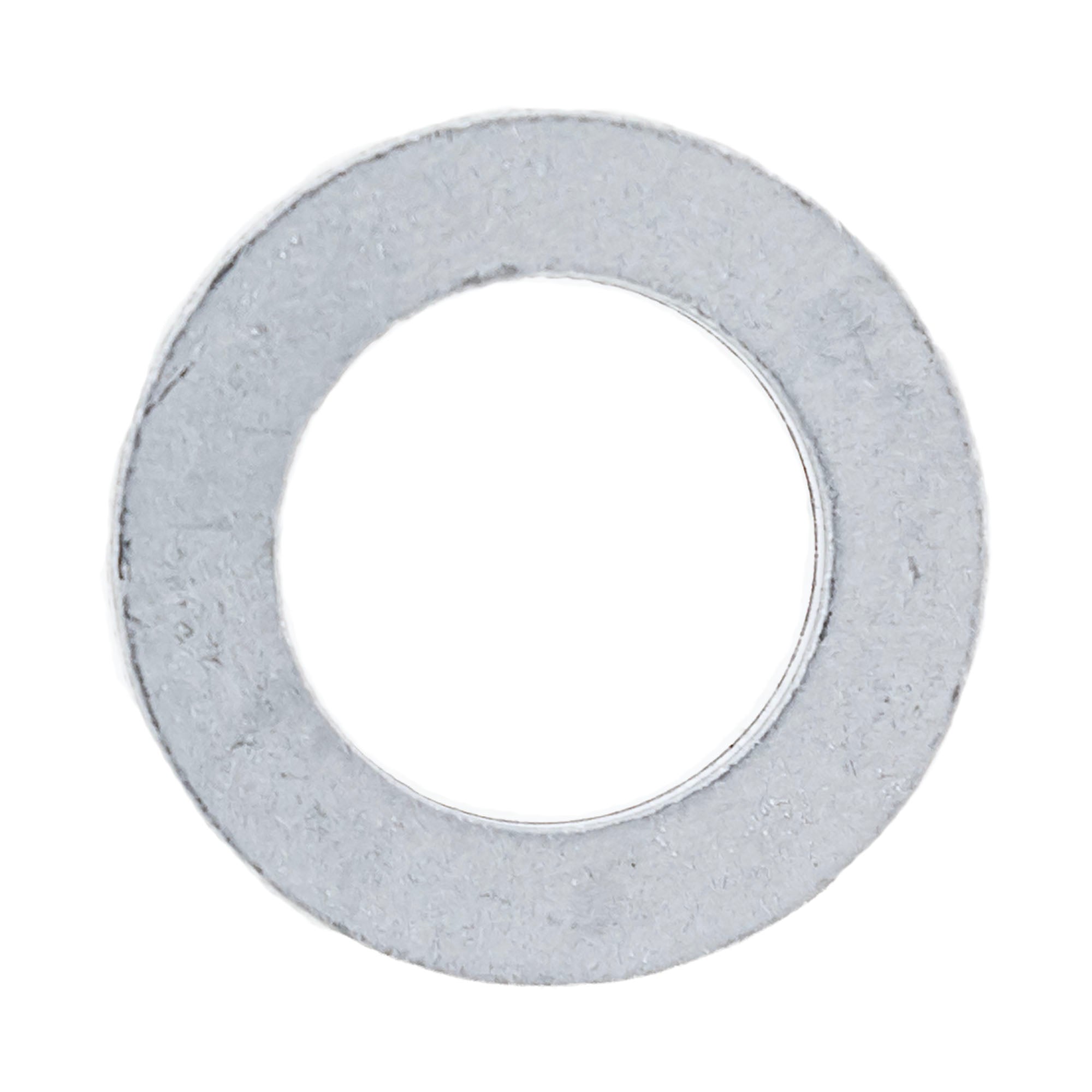 Polaris Washer 3050030