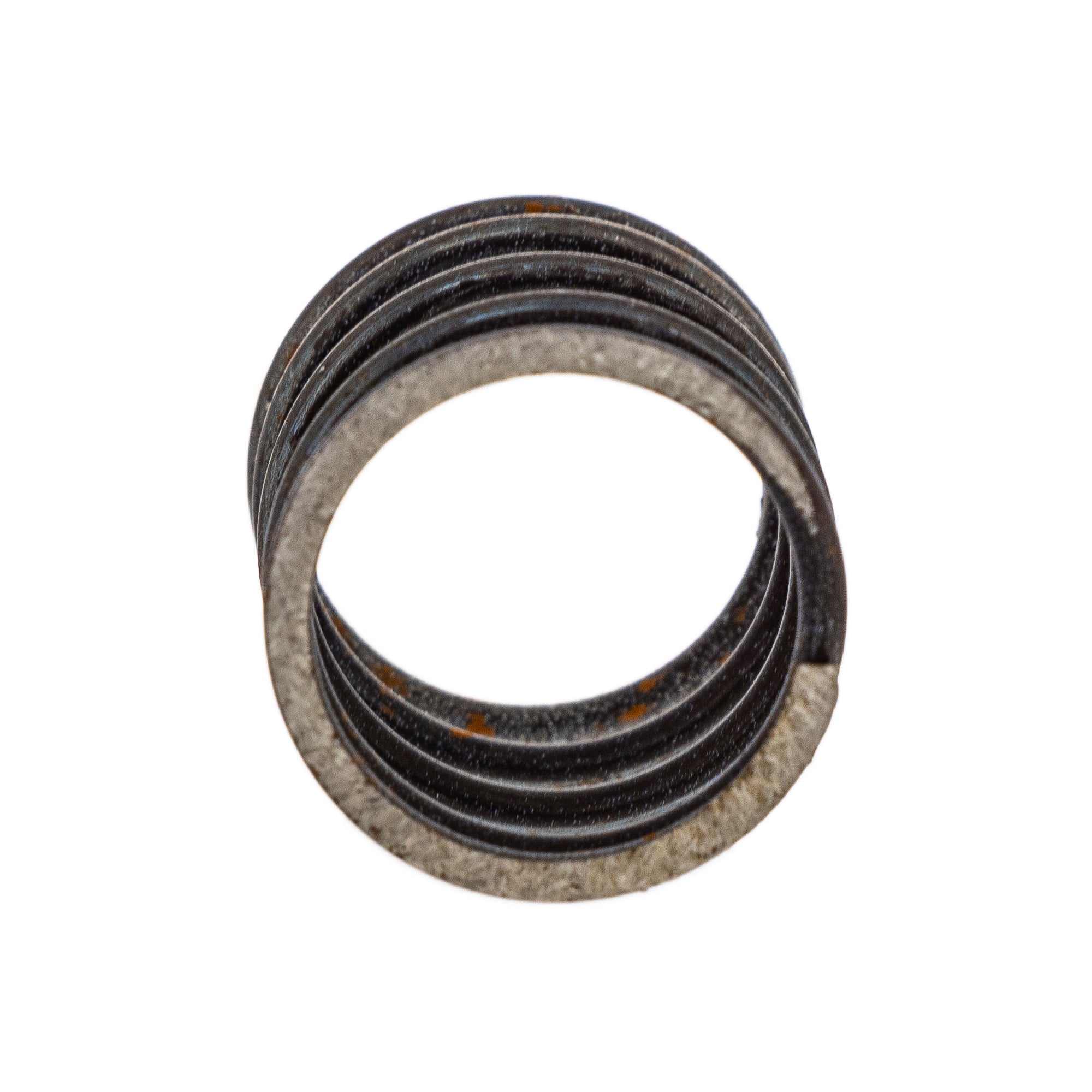 Polaris Spring Filter 3088042