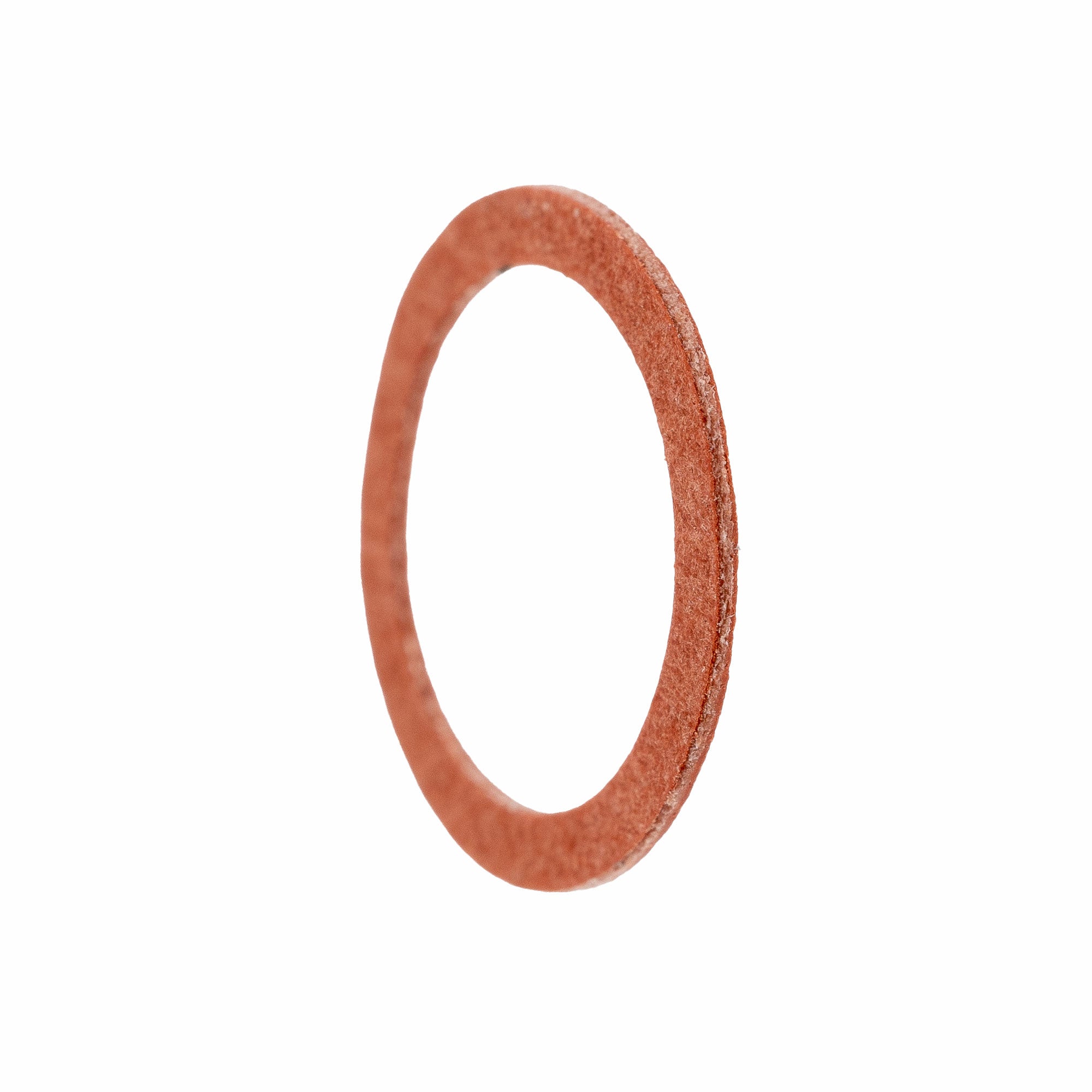 Polaris Needle Valve Packing 3130017