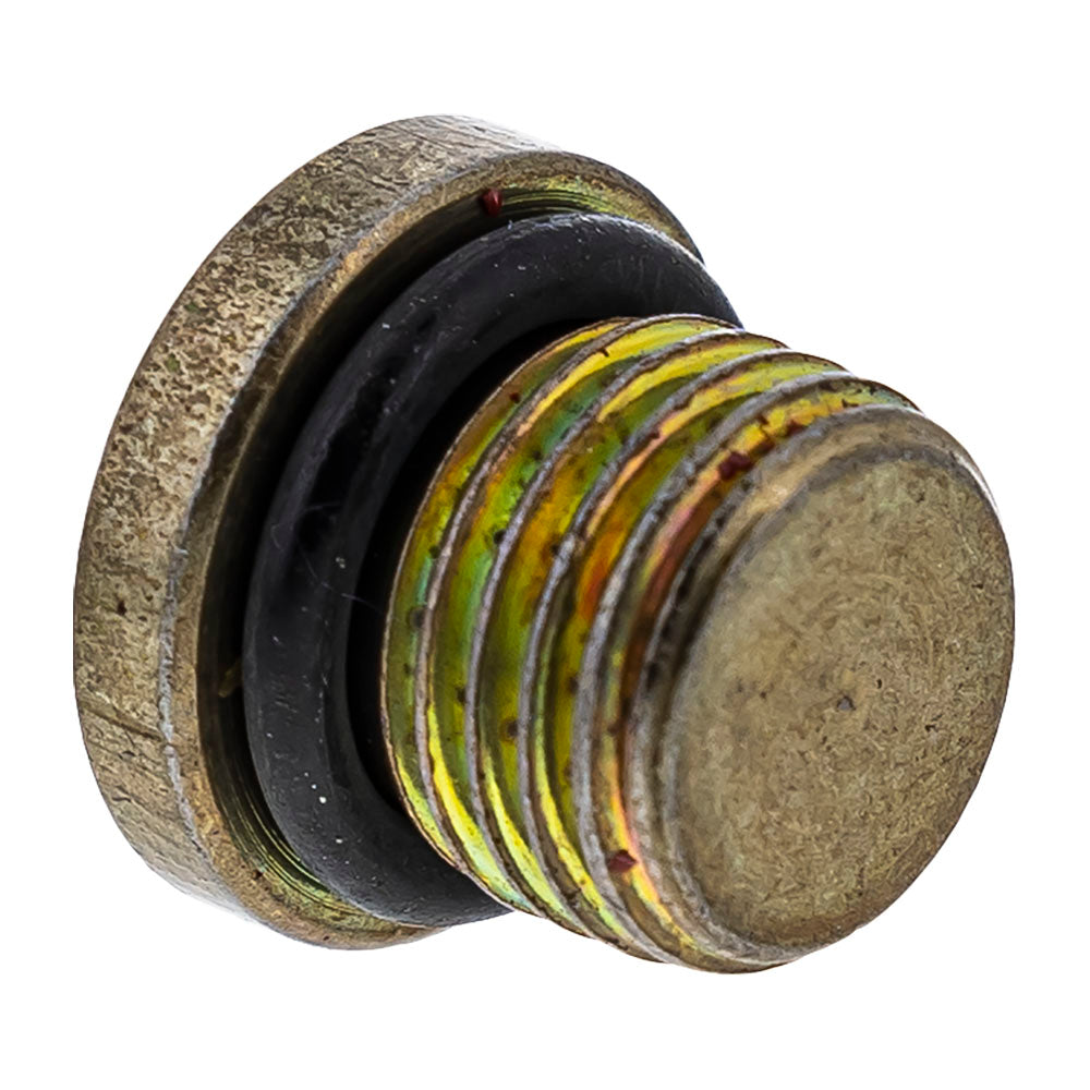 Polaris 3234499 Drain Plug / O-RIng RZR 800 2008