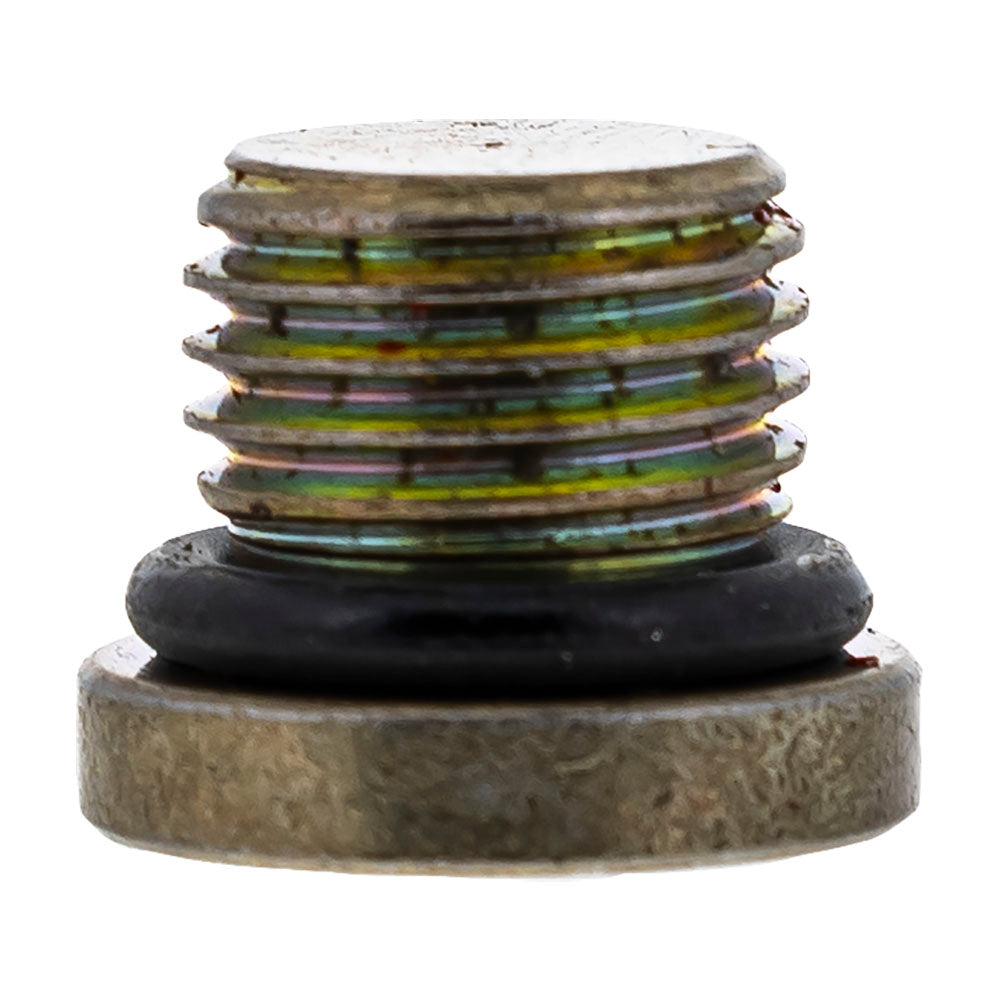 Polaris Drain Plug / O-RIng 3234499