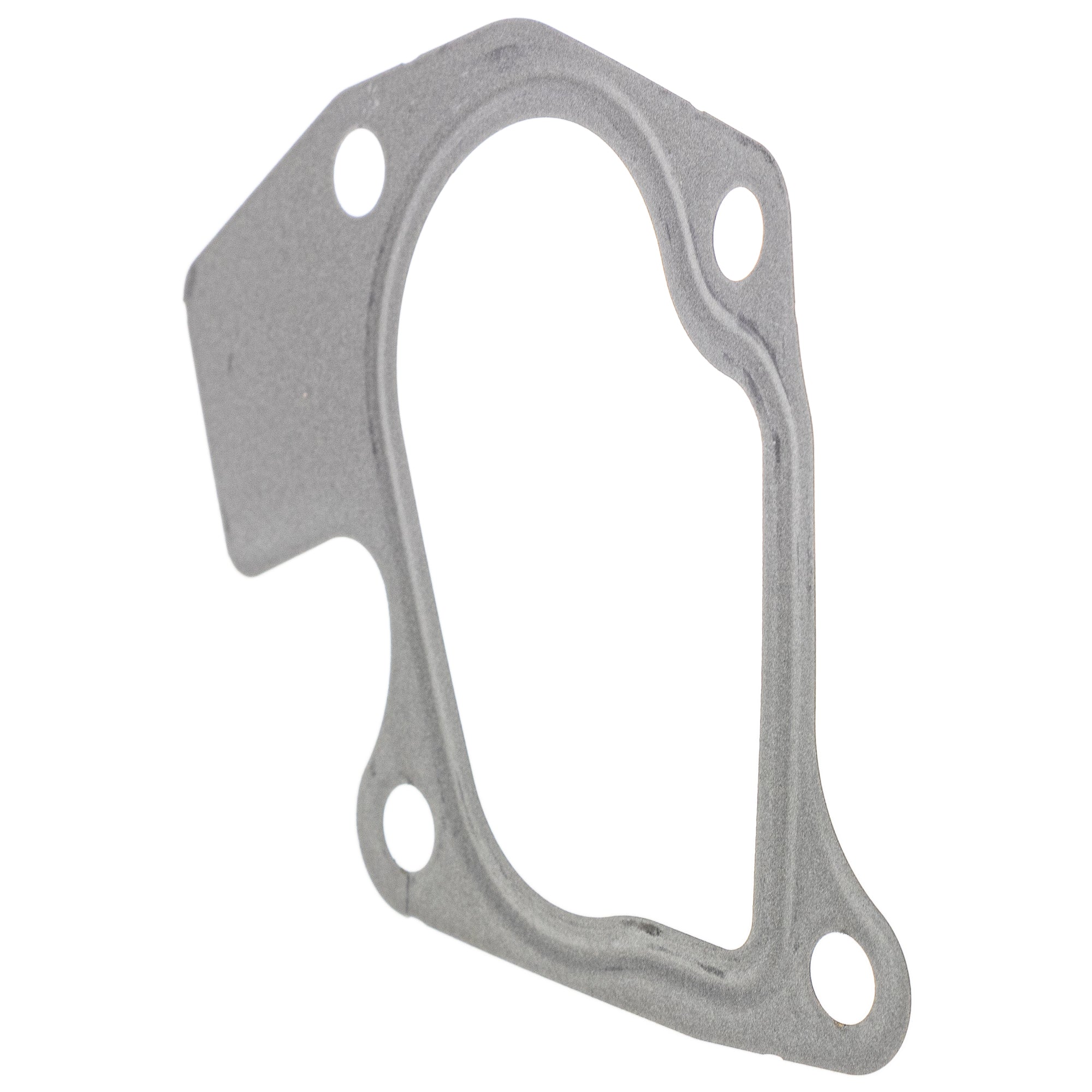 Polaris Exhaust Gasket Assembly 5814964