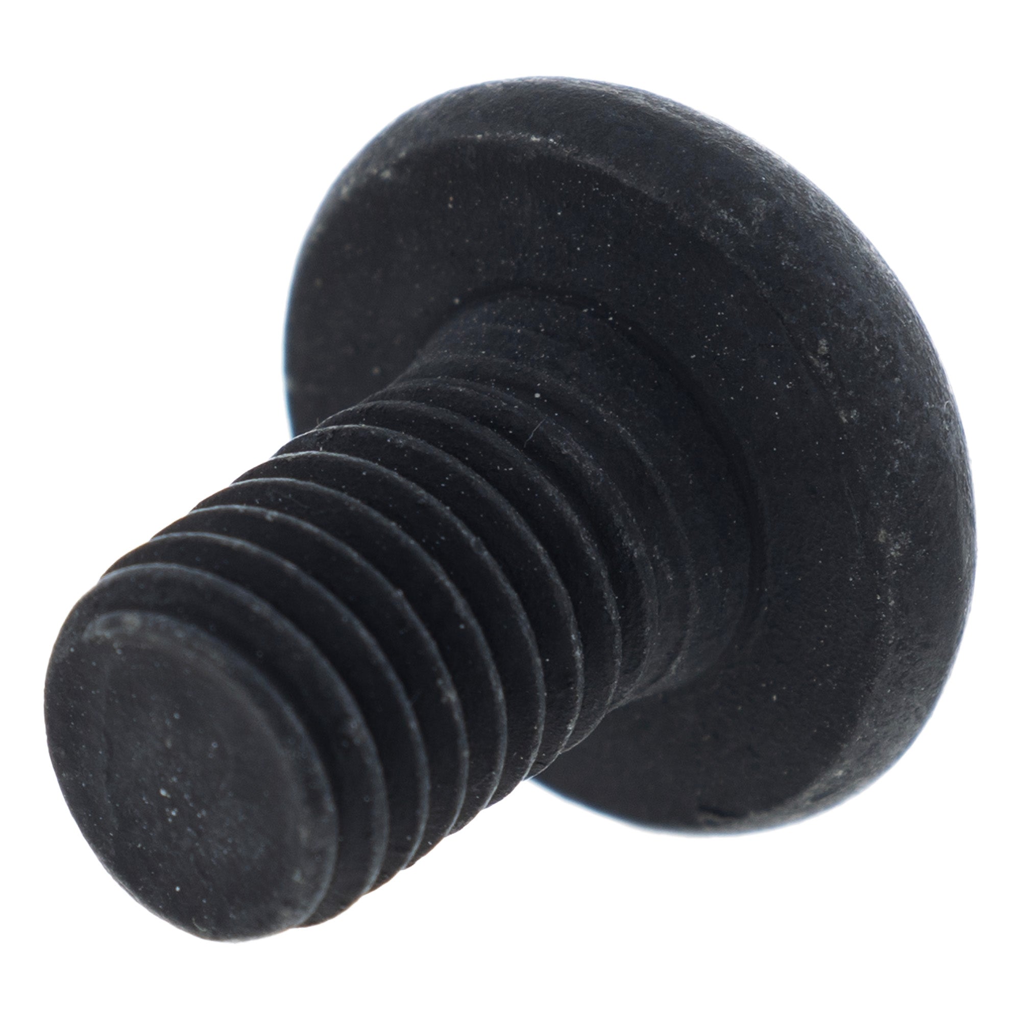 Polaris Screw 7520163