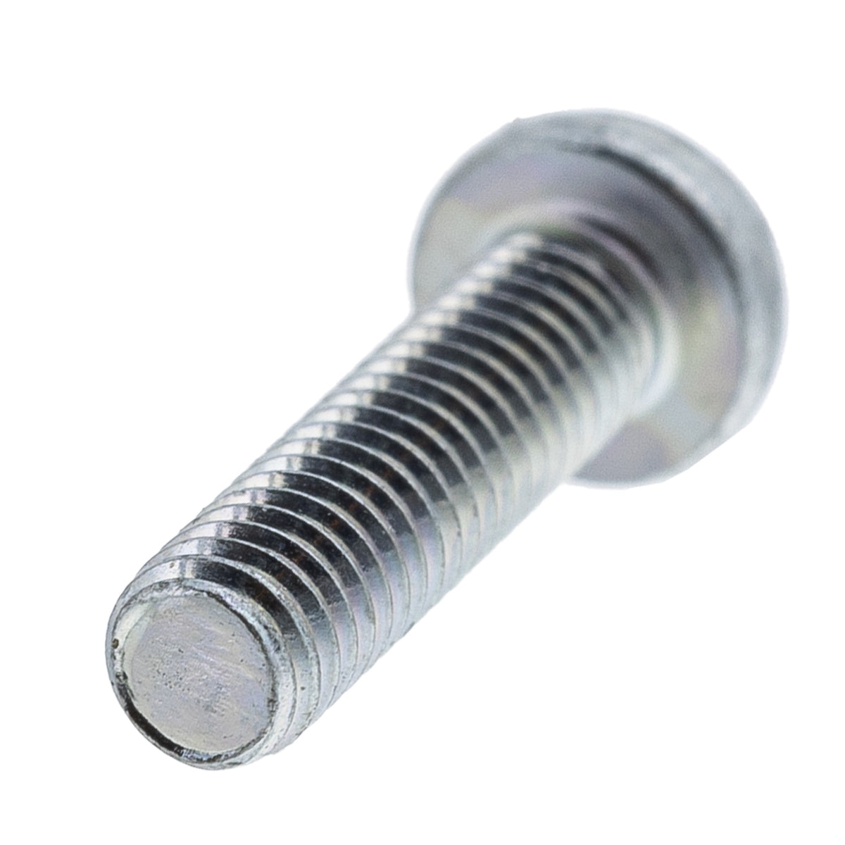 WPS 13-2204 Carburetor Float Bowl Screws 10 Pack