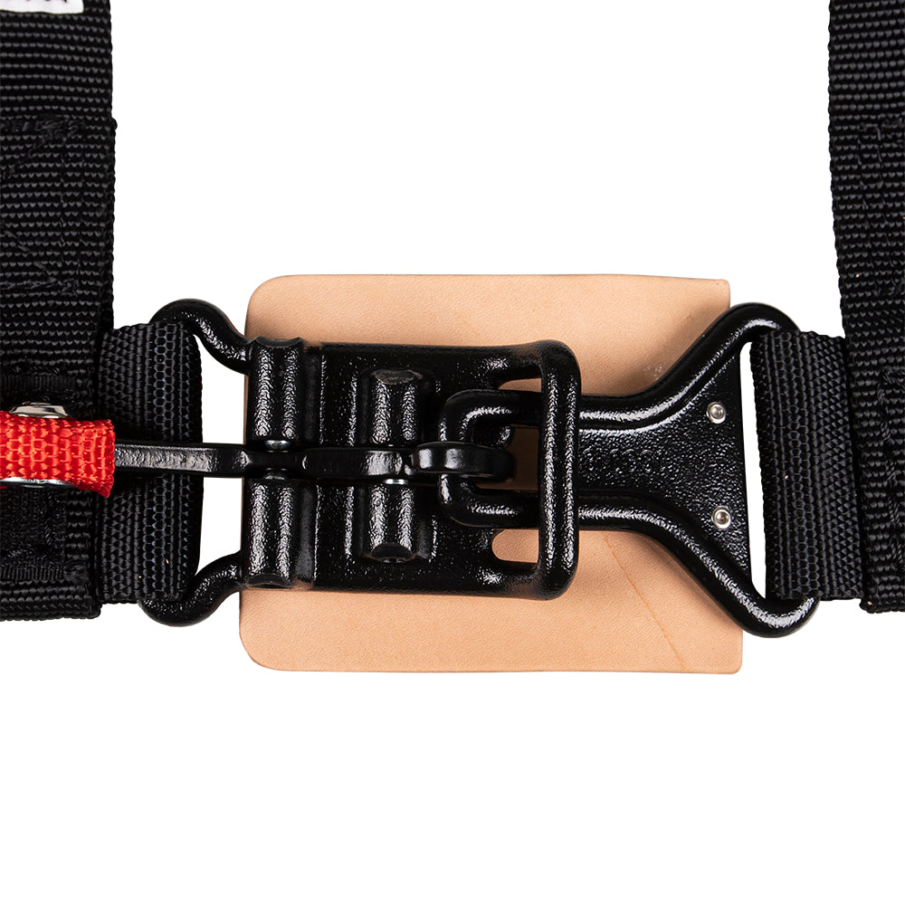 Pro Armor 4 Point Seat Belt Harness A114220 P151100