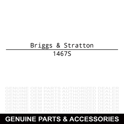 Briggs & Stratton 5 Gallon Diesel View Can 1467S