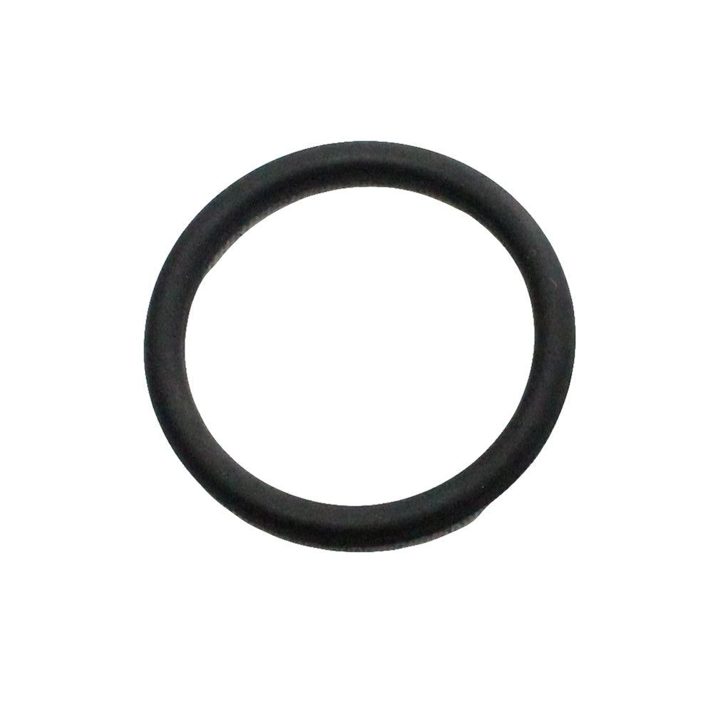 Polaris Endcap O-Ring 1500003