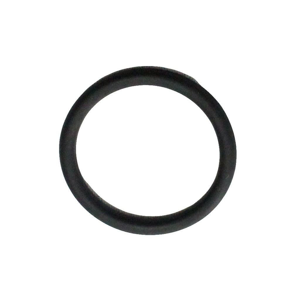 Polaris Endcap O-Ring 1500003 alternate view