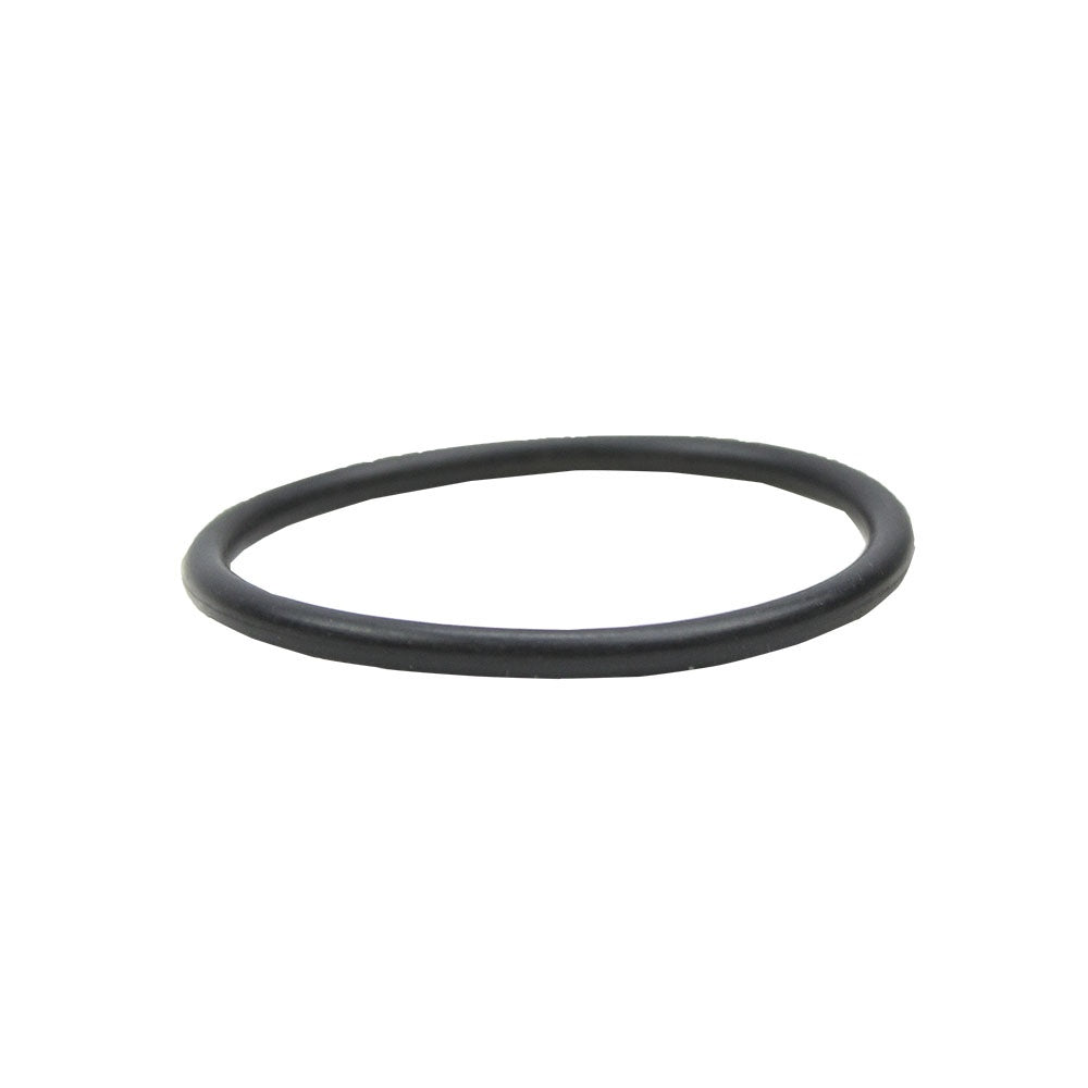Polaris End Cap O-Ring 1700251 alternate view