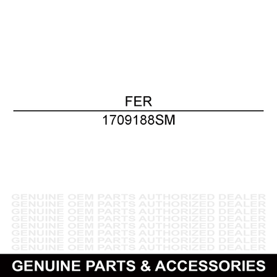 Ferris PLUG, .820 x 1.44 HOLE, PL 1709188SM