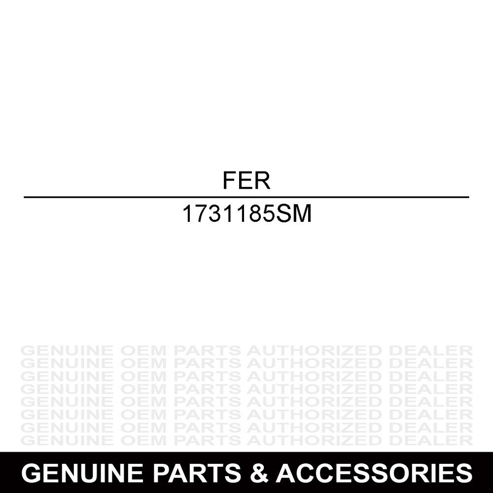 Ferris Hour Meter 1731185SM