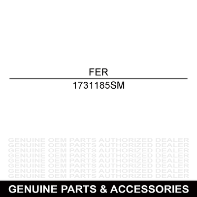 Ferris Hour Meter 1731185SM