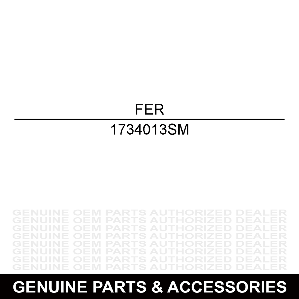 Ferris Wheel & Tire Assembly 1734013SM