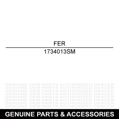Ferris Wheel & Tire Assembly 1734013SM