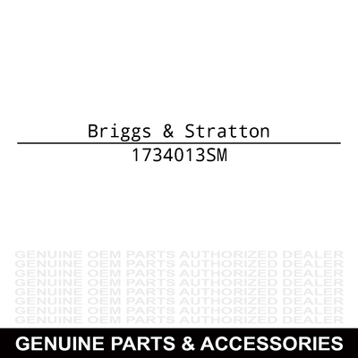 Briggs & Stratton Wheel & Tire Assembly 1734013SM