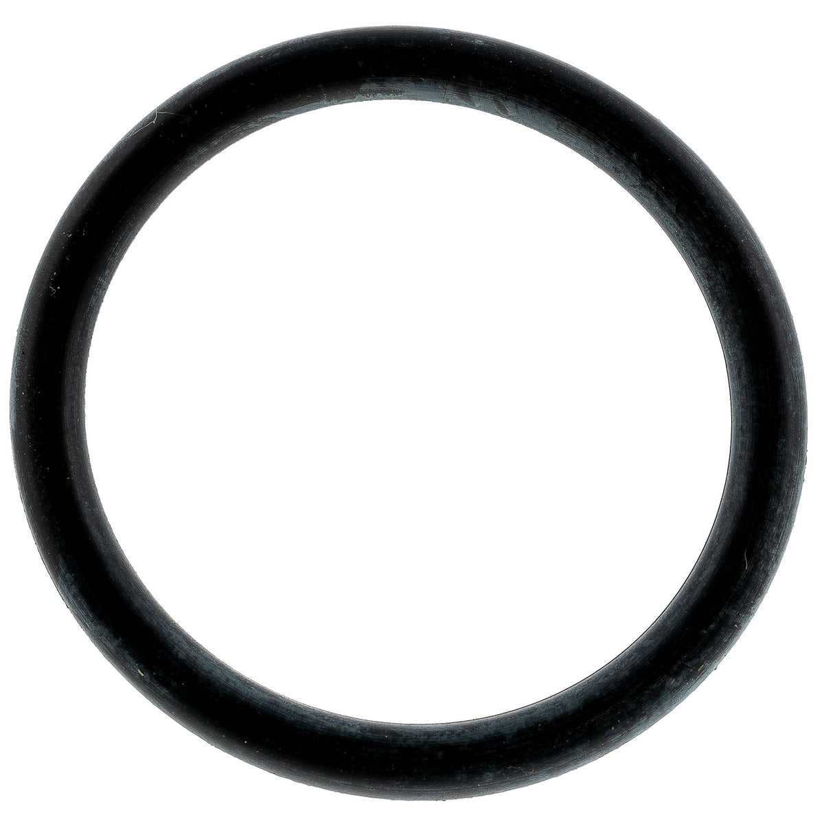 Polaris Reservoir O-Ring 1800028