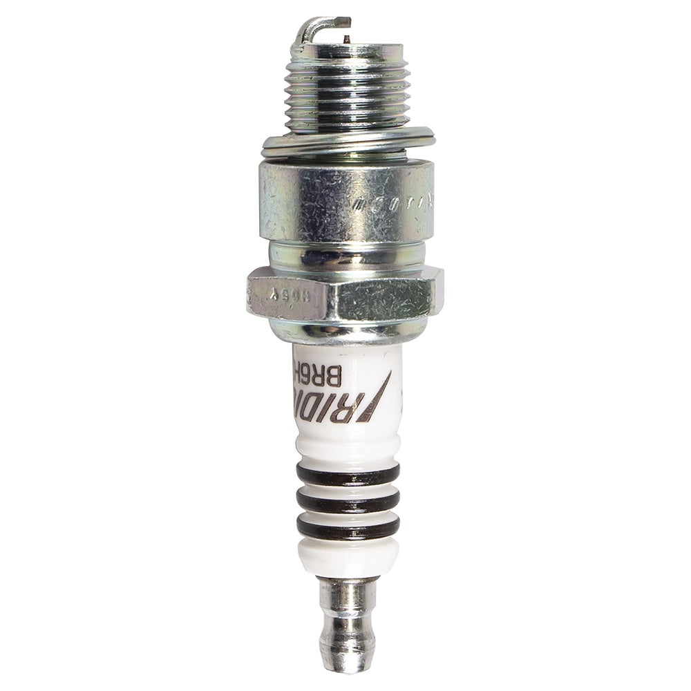 NGK Spark Plug