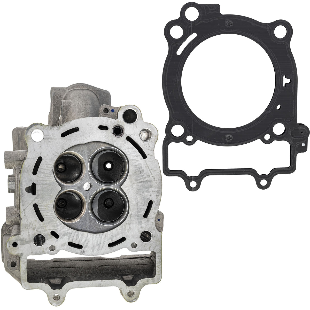 Polaris Head Assembly w/ Gasket 2206221