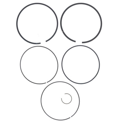 Polaris Standard Ring Kit 2206358