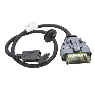 Polaris USB Wire Harness 2412818