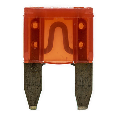Polaris Ignition Fuse 10 Amp 2434016