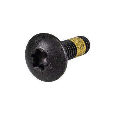 BRP Carbo Box Screw 250000446