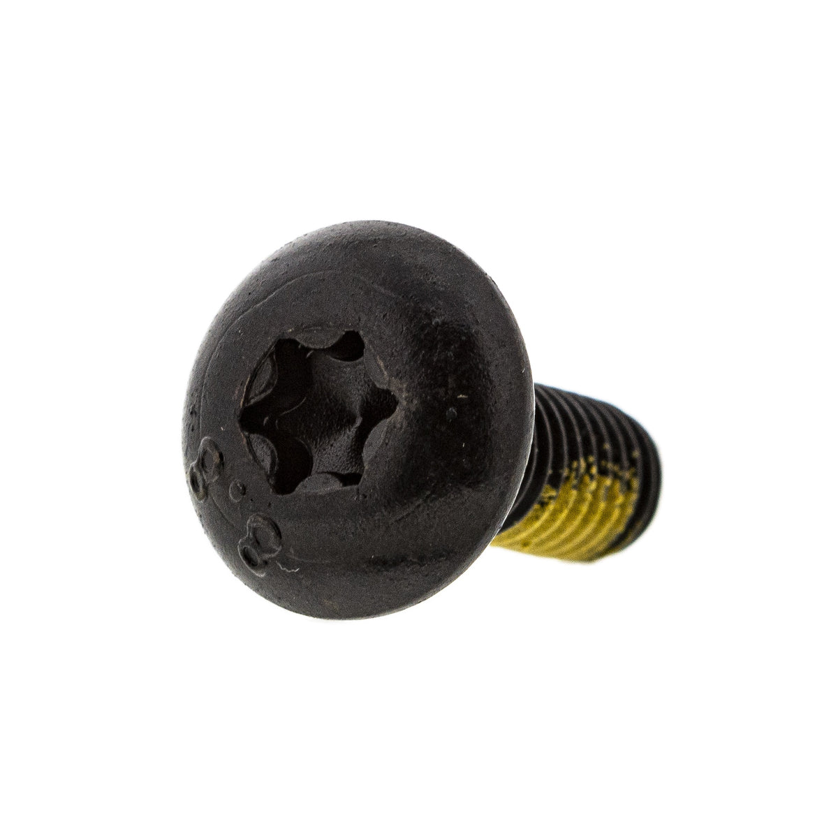 BRP Torx Screw M6 x 16 250000717