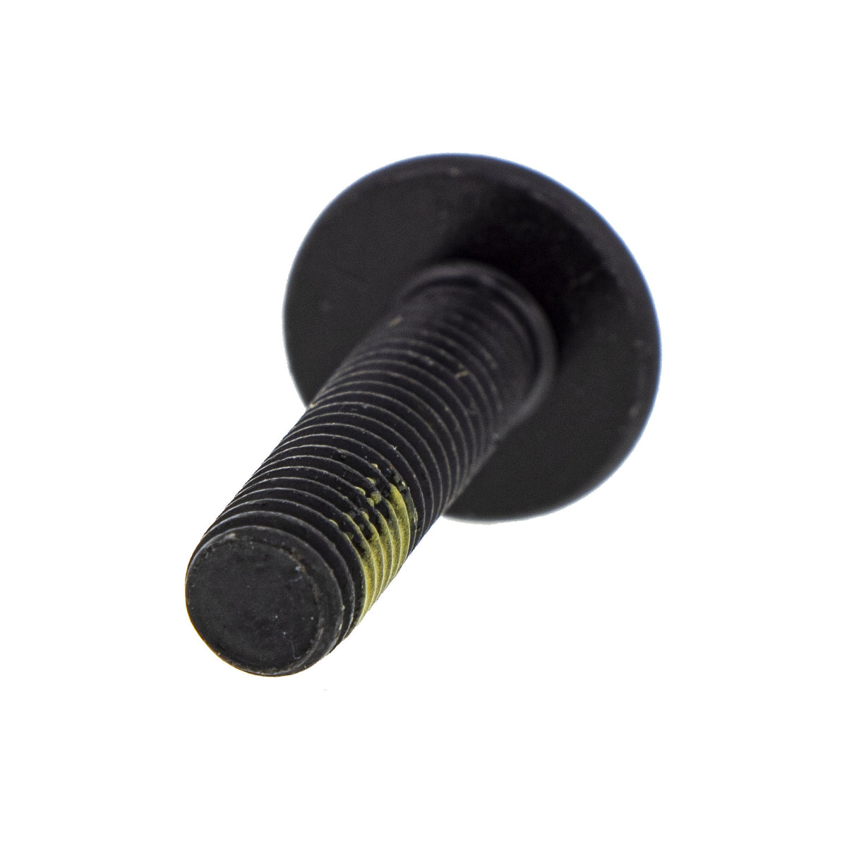 BRP Torx Screw M6 x 25 250000807