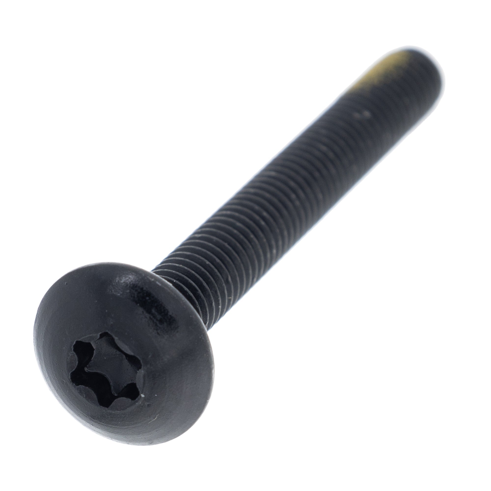 BRP Cab Torx Truss M6 x 50 250000868