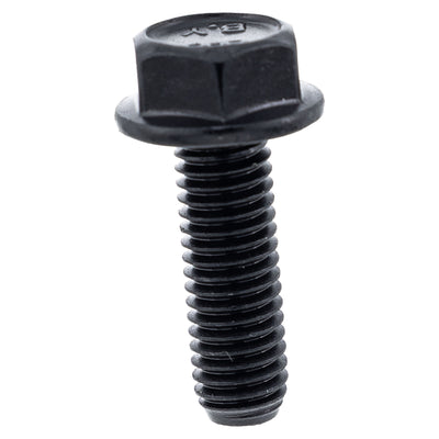 BRP Front Tire Hexagone Flange Screw 250000893